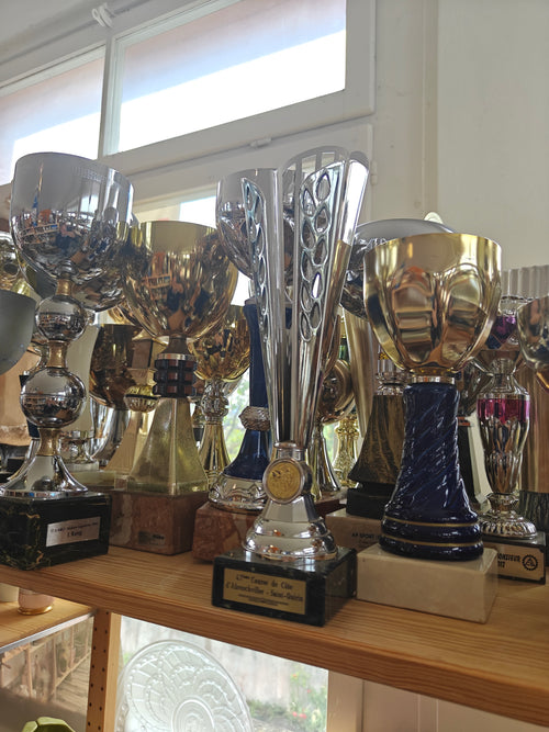 50 trophées dans le lot 2 – Différents matériaux et tailles