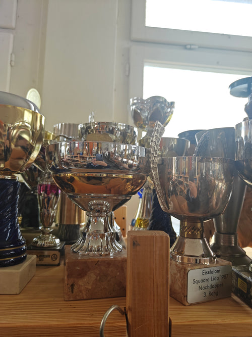 50 trophées en bloc – Divers matériaux et tailles, collection