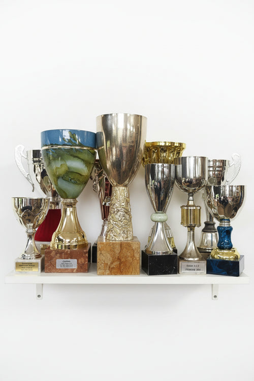50 trophées en bloc – Divers matériaux et tailles, collection