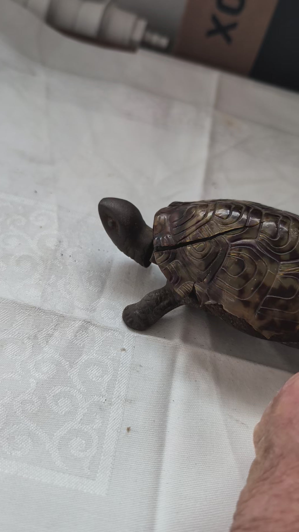 Vintage Deko Set . Kanonen & Schildkröte Nostalgische Kuriositäten Duo
