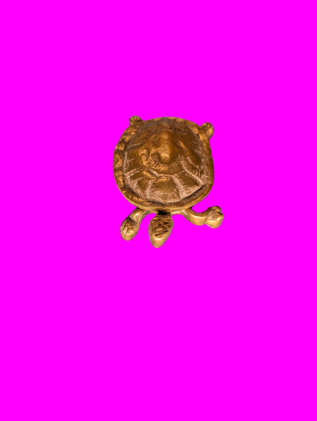 Tortue en bronze – Petite boîte à pilules et à bijoux, objet de collection