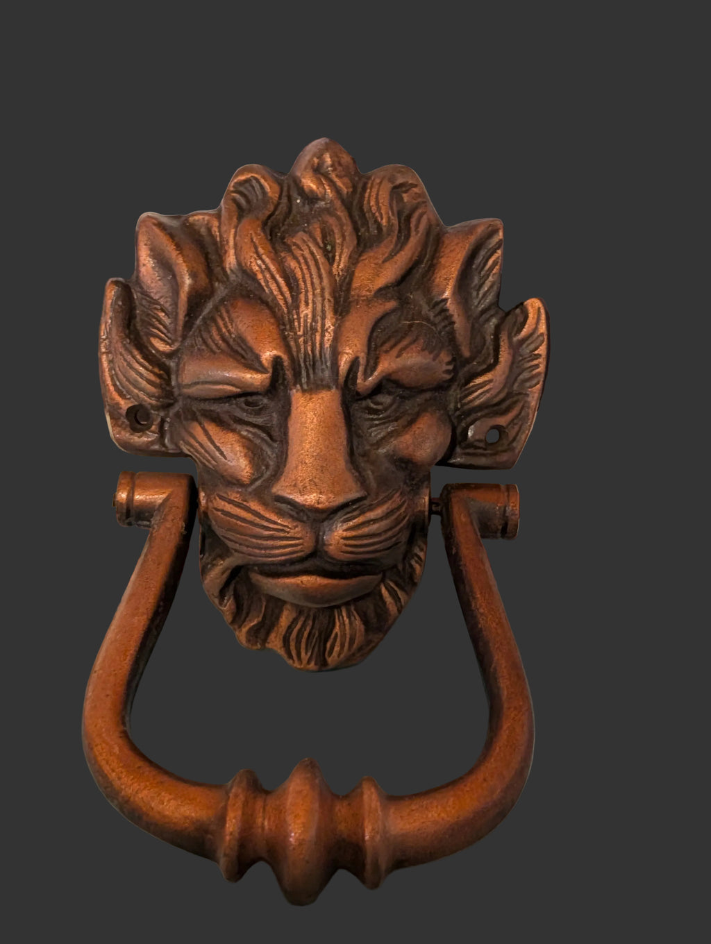 HEURTOIR DE PORTE VINTAGE EN FONTE À TÊTE DE LION