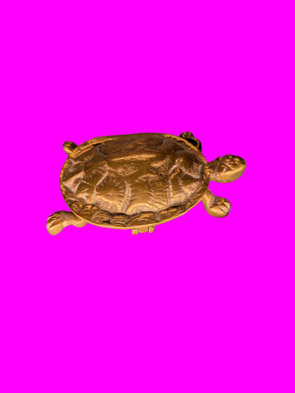Tortue en bronze – Petite boîte à pilules et à bijoux, objet de collection