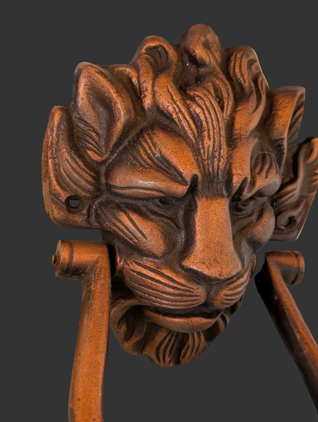 HEURTOIR DE PORTE VINTAGE EN FONTE À TÊTE DE LION