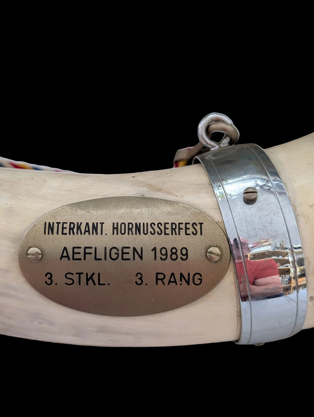 Horn Trophäe Schützenfest