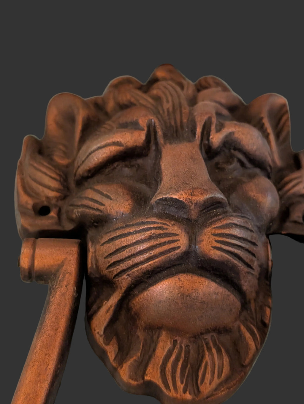 HEURTOIR DE PORTE VINTAGE EN FONTE À TÊTE DE LION