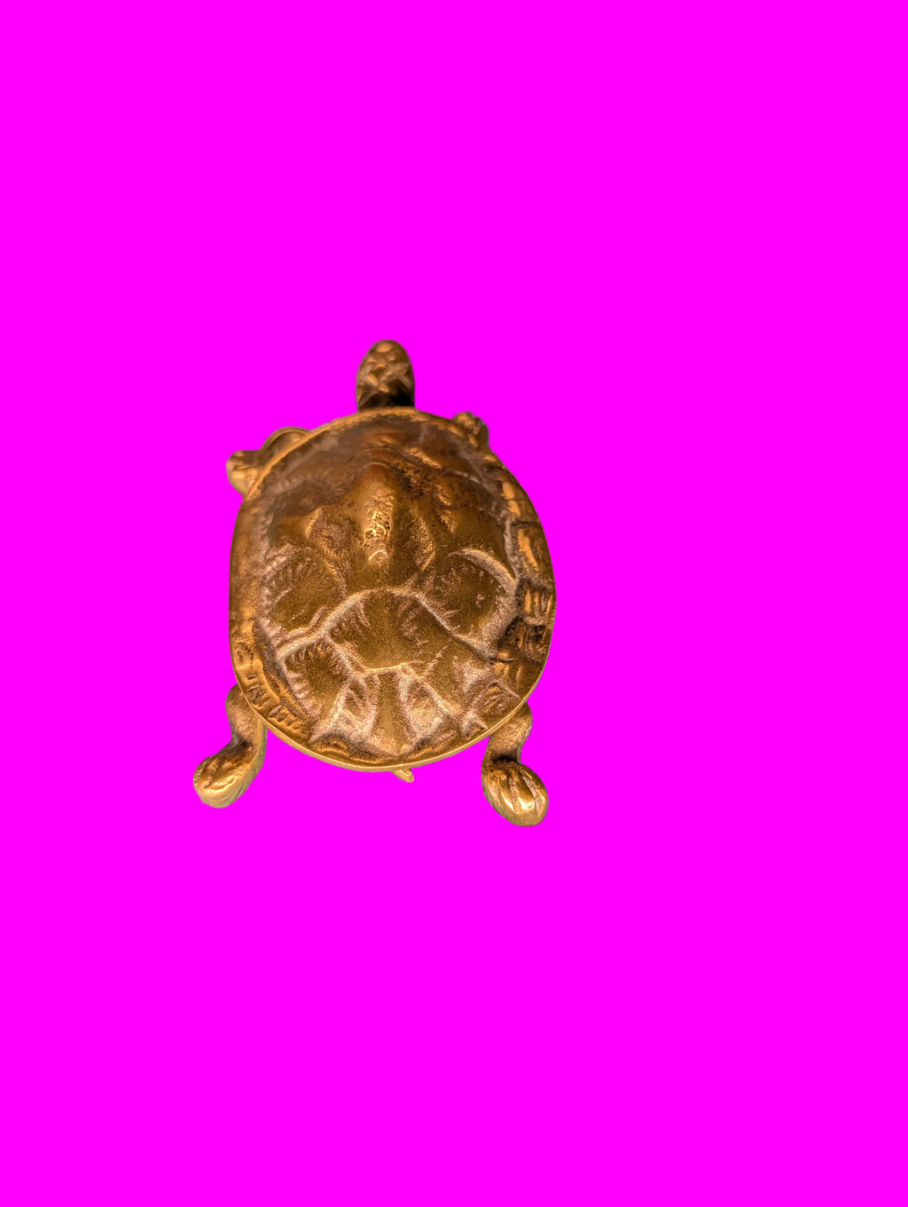 Tortue en bronze – Petite boîte à pilules et à bijoux, objet de collection