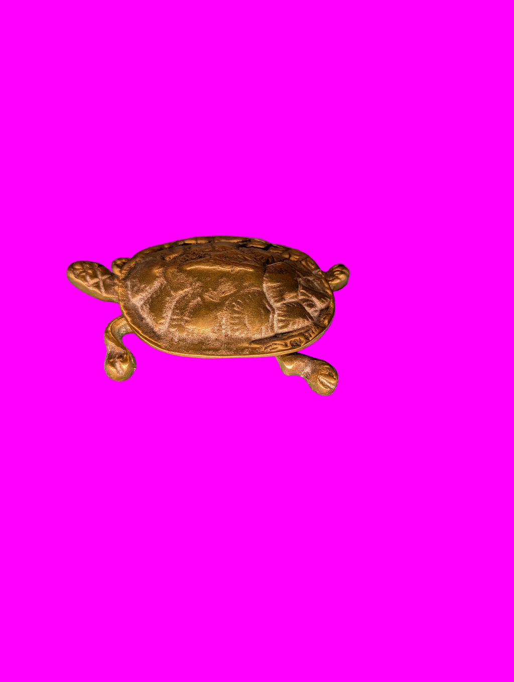 Tortue en bronze – Petite boîte à pilules et à bijoux, objet de collection