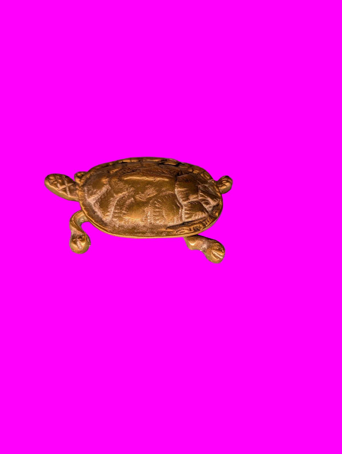 Bronze Schildkröte – Kleine Schmuck- und Pillendose, Sammlerobjekt